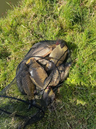 Zawody Wędkarskie o Puchar Wójta Gminy Wojsławice 2025